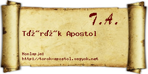 Török Apostol névjegykártya